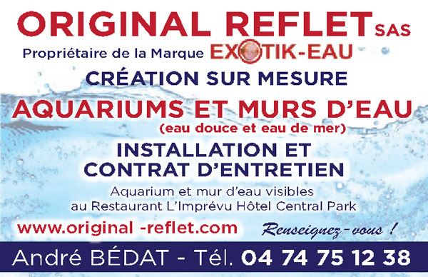 aquarium-origianl-reflet