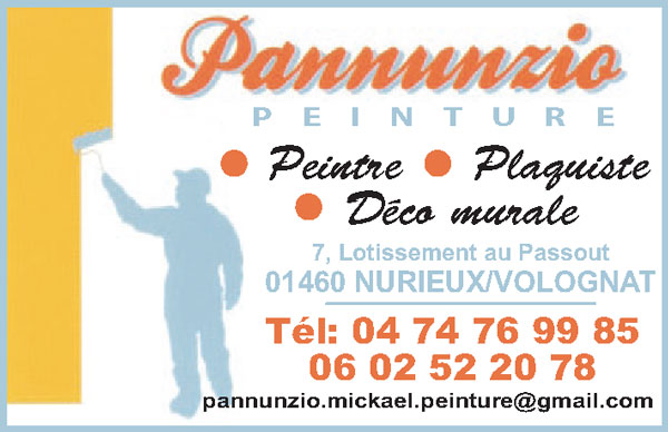 peinture-plaquiste-pannunzio-mickael-01460